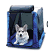 dog in crate